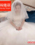 蜜雅琪ウェディングベール新款コリアスタ短款甘さシンプ多层旅影仙娜チラム新婦の結婚頭紗白いプラスチックの髪は60 cm-80 cmです。
