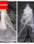 2018新型ポリスタイのウェディングベールの結婚式の新婦3メートルの長いドレンの結婚式の白いショートスタイルレースヴェスのSN 6636 5メートルのレスヴェールの175 cm以上