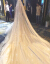 TIKTOKの白いベールの女性新婦ロングールのシャンパン色が超長いドレインの髪飾りがわわわわわわわわわわかりるのウェディングベールの結婚式は3メートル幅*3.5メートルの長い香りがするペナン色は金属の櫛があります。175 cm以上です。