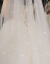 TIKTOKの白いベールの女性新婦ロングールのシャンパン色が超長いドレインの髪飾りがわわわわわわわわわわかりるのウェディングベールの結婚式は3メートル幅*3.5メートルの長い香りがするペナン色は金属の櫛があります。175 cm以上です。