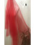 赤いシンプの裸の紗の新婦は外出して顔の結婚のウェディングベールの長さを遮ります。