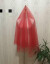 赤いシンプの裸の紗の新婦は外出して顔の結婚のウェディングベールの長さを遮ります。