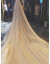 シャンパンカラーのネコ有名人、TIKTOK撮影レイトのウエディングドレスのヘアライン女性新婦3メートルローグスタイワワワワワワナのチーラ姫の後に残ります。TIKTOK同じるる（3メートル幅x 3.5メートルの長いシャンパンの金色点滅175 cm以上）