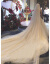 シャンパンカラーのネコ有名人、TIKTOK撮影レイトのウエディングドレスのヘアライン女性新婦3メートルローグスタイワワワワワワナのチーラ姫の後に残ります。TIKTOK同じるる（3メートル幅x 3.5メートルの長いシャンパンの金色点滅175 cm以上）